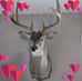 Profile Picture of Bobby Madewell (@bobby.madewell.9) on Facebook