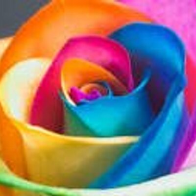 Profile Picture of Ivy Ward (@Ivyward10) on Twitter
