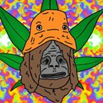 Profile Picture of Jonathan Graham (@jonathan_graham42) on Instagram