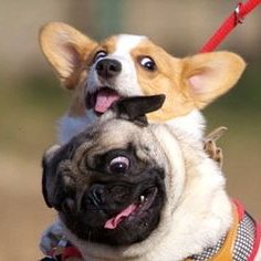 Profile Picture of Damian Sandoval (@livelife_bliss) on Twitter