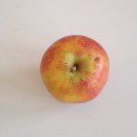 Profile Picture of Julia Eberle (@valillie) on Instagram