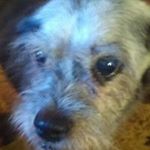 Profile Picture of Jacob Peirce (@cleverguide6542) on Instagram
