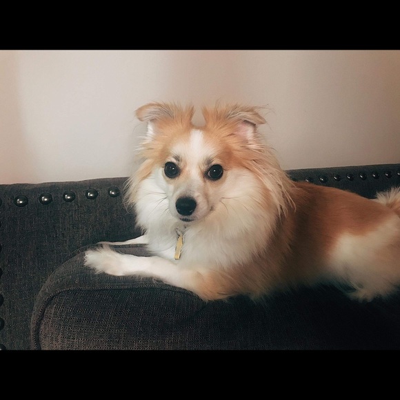 Profile Picture of Carrie Stishan (@ccarebear81) on Poshmark