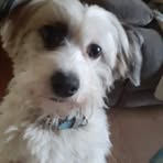 Profile Picture of Berni McDowell (@bernadette.mcdowell.52) on Facebook