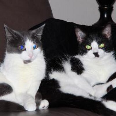 Profile Picture of Dawn Maddison-Eddy (@deme45) on Twitter