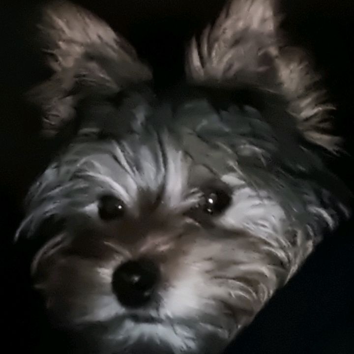 Profile Picture of Jam Master Jay (@jasonbridle) on Tiktok