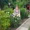 Profile Picture of Selma Kesici (@selma.kesici.58) on Facebook