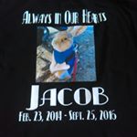 Profile Picture of Joanne Navarro (@jacob.the.bunny) on Instagram