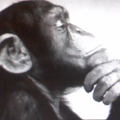 Profile Picture of Andrew Rome (@RomeArome) on Twitter