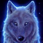 Profile Picture of Logan Reese (@travis132639) on Instagram