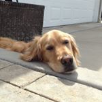 Profile Picture of jillian nowicki (@jillian.nowicki) on Instagram