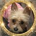 Profile Picture of Yvette Ordaz (@yvette.martinez.14268) on Facebook