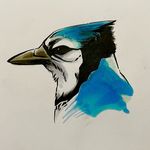 Profile Picture of Joshua Oakes (@captwrex) on Instagram