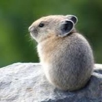 Profile Picture of Zachary Rosenfeld (@zachary-rosenfeld-2) on Quora