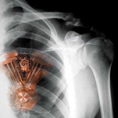 Profile Picture of Dan.lucianon Twitter