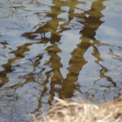 Profile Picture of Terry Koshel (@thwk) on Twitter