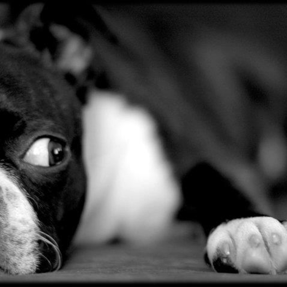 Profile Picture of Yonas Assefa (@yonassefa) on Poshmark