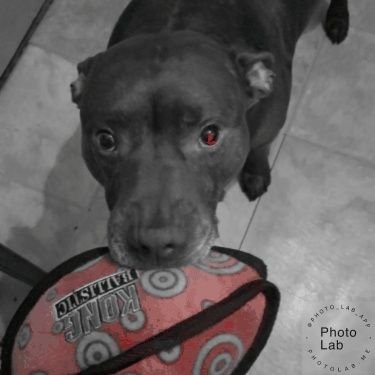 Profile Picture of ChetThomas (@ChetThomas47) on Twitter