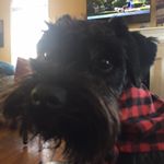 Profile Picture of Rick Savage Marsha Savage (@ricksavagemarsha) on Instagram