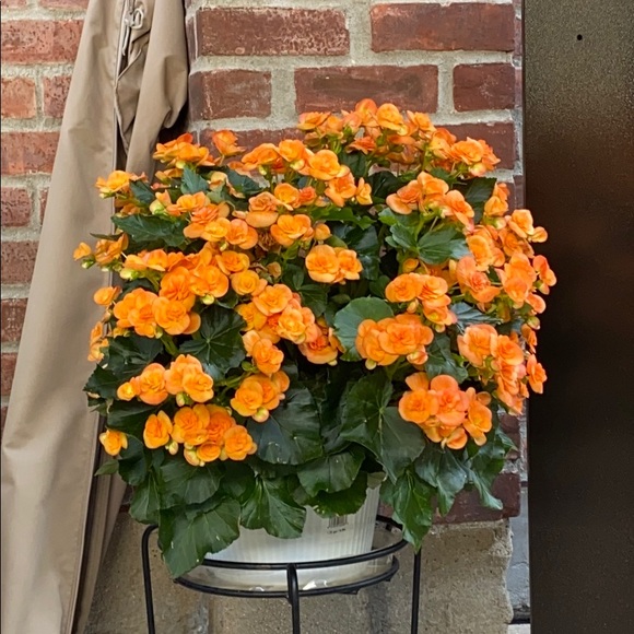 Profile Picture of Matthew Bird (@matthewbird284) on Poshmark