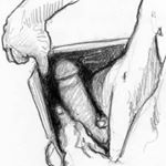 Profile Picture of Benjamin Smith (@live_coli_009) on Instagram