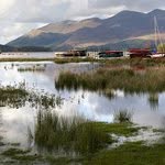 Fletcher Reid - Instagram Profile Picture of Fletcher Reid (@fletcherreid) on Instagram