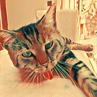 Profile Picture of Carolyn Nelson (@C4rolynNelson) on Twitter