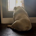Profile Picture of Randy Harris (@randizzel) on Instagram