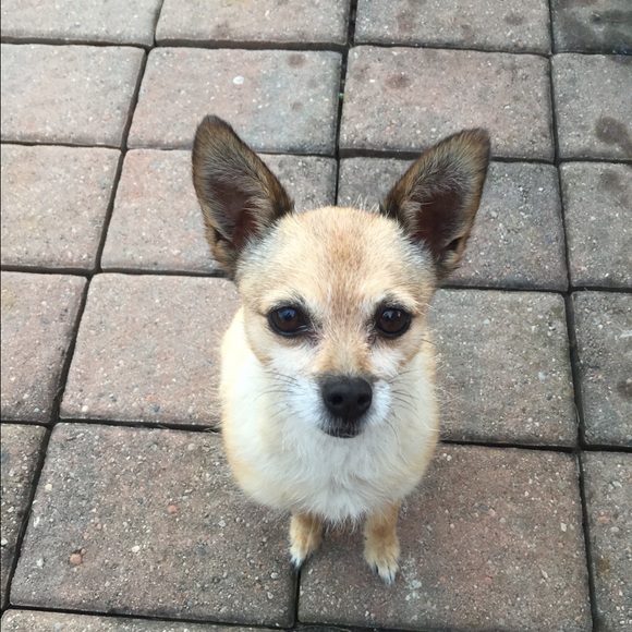 Profile Picture of Kristi Lomasney (@feenie22) on Poshmark