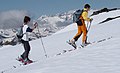 Profile Picture of Ski touringon Wikipedia