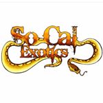 Profile Picture of Joe Gomez (@socalexoticsss) on Instagram