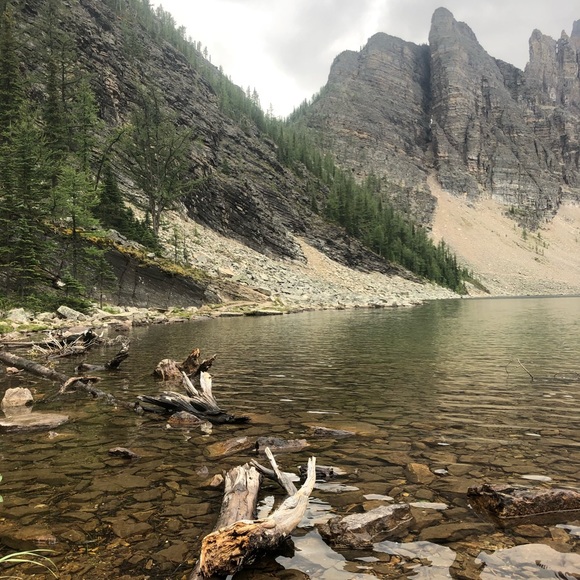 Profile Picture of Ken Jackson (@kj77y) on Poshmark