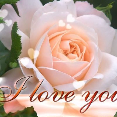 Profile Picture of Joseph McCreery (@naughtyboi27) on Twitter