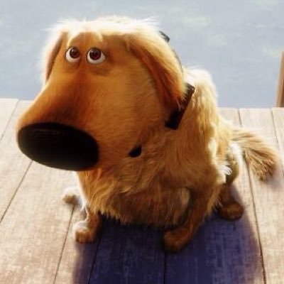 Profile Picture of Spencer Stuart (@El_Kafungus) on Twitter