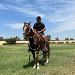 Profile Picture of Joseph Ramirez| Ecommerce (@joseph_ramirez.ecom) on Instagram