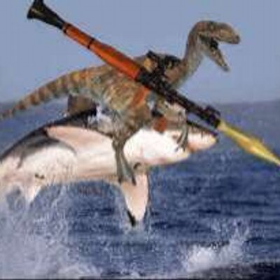 Profile Picture of Jacob Piper (@PainKnight) on Twitter