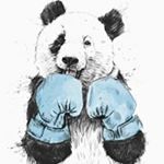 Profile Picture of Scott Gammel (@s_gammel) on Instagram