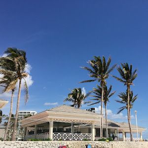 Brian Kwon - Tiktok Profile Picture of Brian Kwon (@brian.kwon) on Tiktok