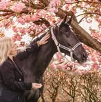 Profile Picture of Edith Corman (@Edith-Corman) on Facebook