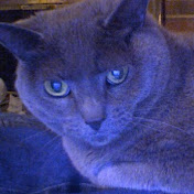 Profile Picture of Jeff Lesniak (@dgeph) on Youtube