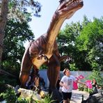 Profile Picture of Boban Jovanovski (@boban.jovanovski.75) on Facebook