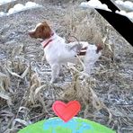 Profile Picture of Ken Schenning (@Ken-Schenning) on Facebook