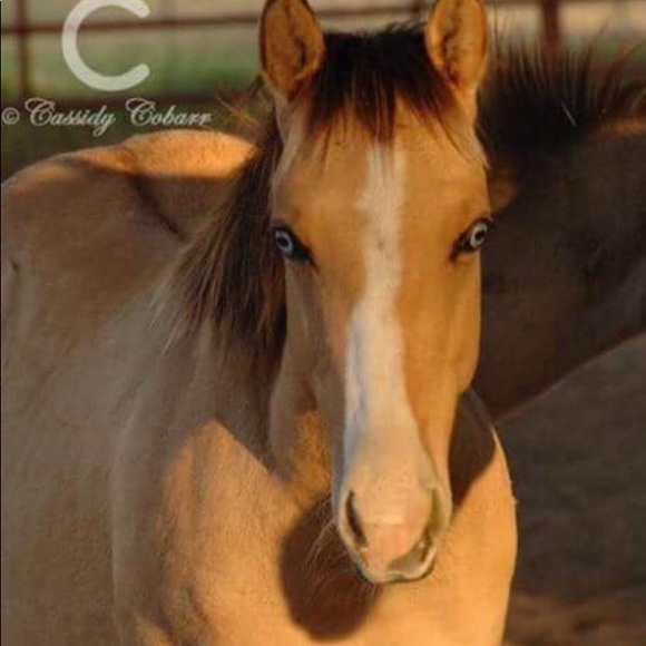 Sandra Risberg - Poshmark Profile Picture of Sandra Risberg (@skrisberg92) on Poshmark