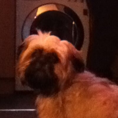 Profile Picture of Harrison (@craig_landers) on Twitter