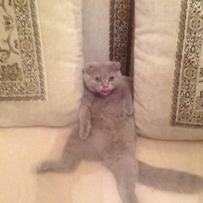 Profile Picture of Peter Funk (@peterfunk41) on Twitter