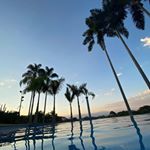 Profile Picture of Gus Restrepo Gomez (@gusrestrepogomez) on Instagram