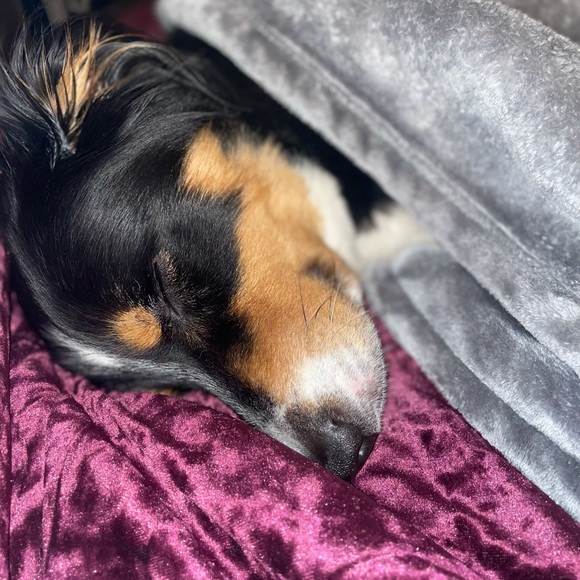 Profile Picture of Matthew Harnden (@matthew_harnden) on Poshmark