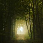 Profile Picture of Tanner Blair (@tanner_blair40) on Instagram