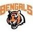 Profile Picture of Jeff Bond (@brodie54) on Pinterest