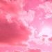Profile Picture of Renee Stamper (@renee5800) on Pinterest